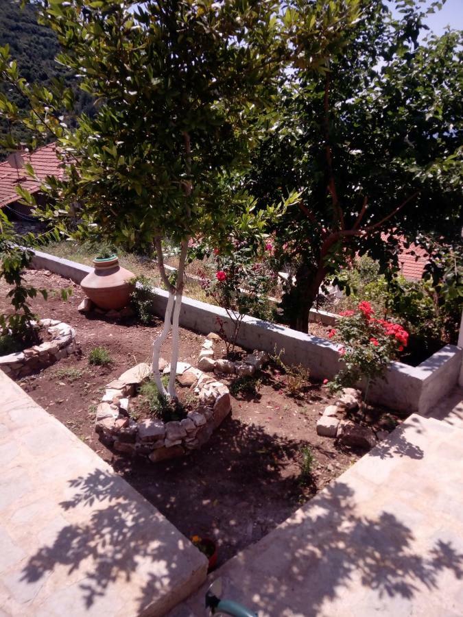 Dimitra's Garden Villa Kallirákhi Buitenkant foto