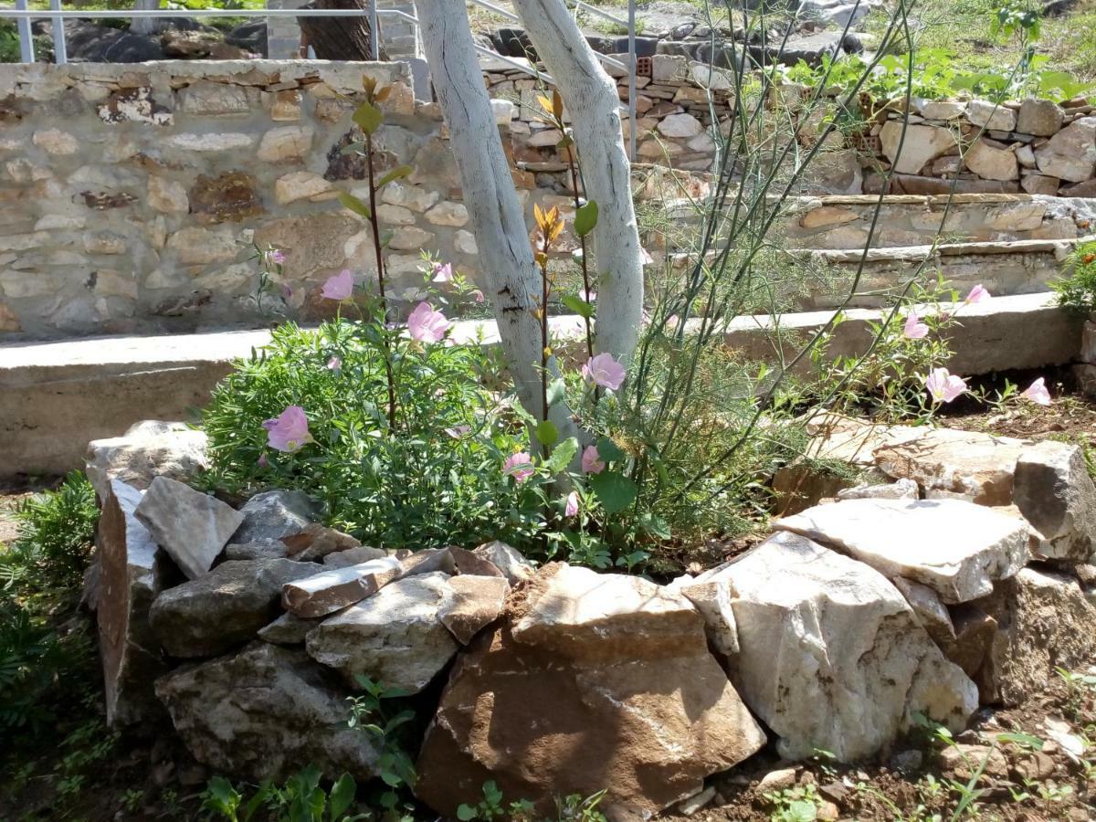 Dimitra's Garden Villa Kallirákhi Buitenkant foto